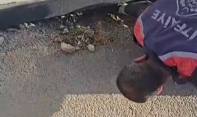 Mahsur kalan yavru köpek kurtarıldı