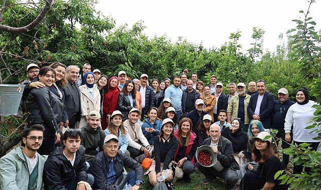 Manisa-İzmir hattında kiraz hasat coşkusu yaşanıyor