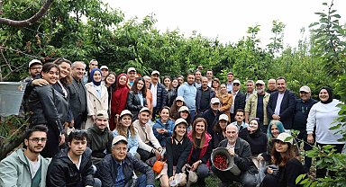 Manisa-İzmir hattında kiraz hasat coşkusu yaşanıyor