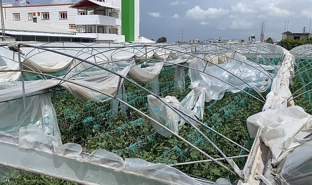 Mersin&#039;de şiddetli fırtına seralara zarar verdi