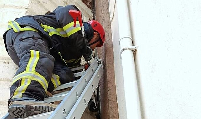 Minare ile cami duvarı arasına sıkışan kedi, itfaiye ekiplerinin titiz çalışmasıyla kurtarıldı