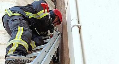 Minare ile cami duvarı arasına sıkışan kedi, itfaiye ekiplerinin titiz çalışmasıyla kurtarıldı