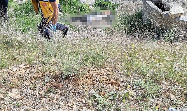 Motosiklet, takla atarak şarampole yuvarlandı