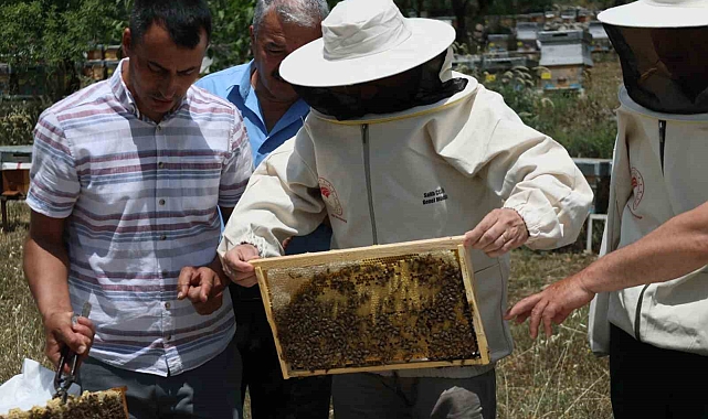 Muğla arıcılığında yeni dönem