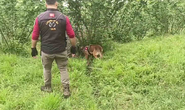 Müşteri gibi taksiye binip kafasına sıkmışlar