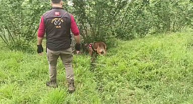 Müşteri gibi taksiye binip kafasına sıkmışlar