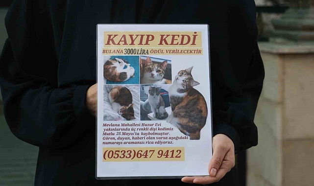 Mutluyu bulana para ödülü verecek