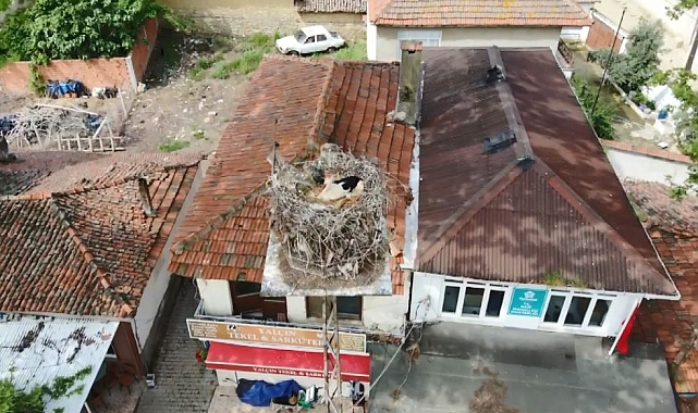 Naiplilere komşu olan leylek köyünde maskotu oldu