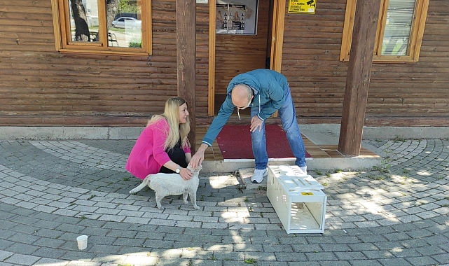 O kedi kurtarıldı