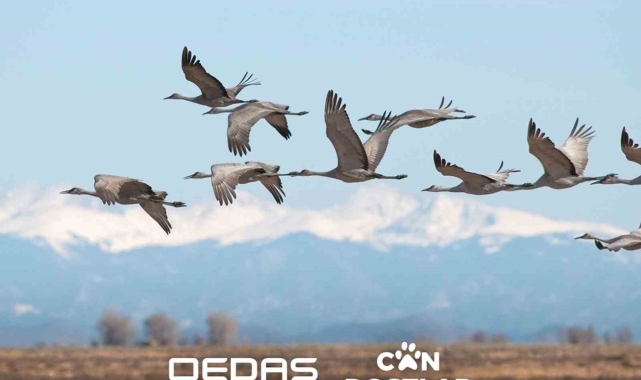 OEDAŞ &#039;Can Dostlar&#039; projesinin kapsamını genişletti