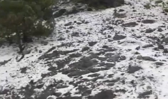 Öğle saatlerinde bir anda bastıran dolu etrafı beyaza bürüdü