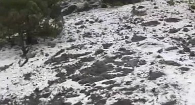 Öğle saatlerinde bir anda bastıran dolu etrafı beyaza bürüdü