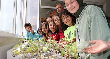 Öğrenciler okulda ata tohumu ekip fide yetiştirdi