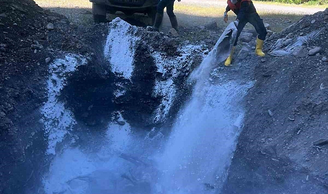 Onlarca küçükbaş hayvan, gömüldü