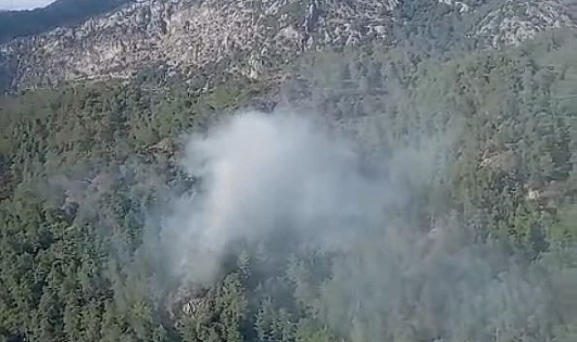 Orman yangını, büyümeden söndürüldü