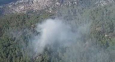 Orman yangını, büyümeden söndürüldü