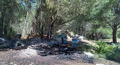 Ormanlık alanda bulunan arı kovanları yandı