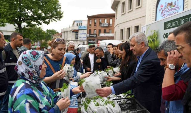 Osmangazi Belediyesi&#039;nden vatandaşa 100 bin fide