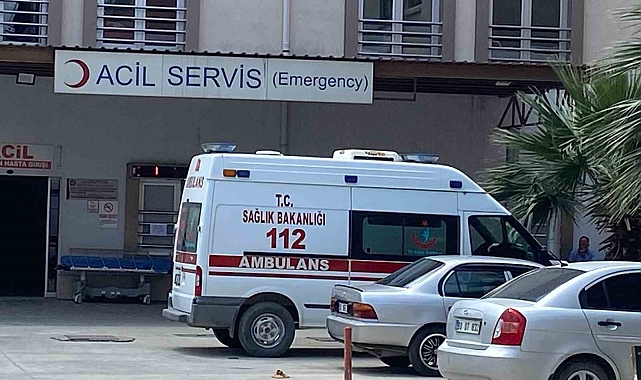 Ot temizlerken yılan soktu