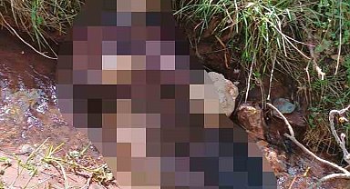 Ot toplamak için giden damın cansız bedenine ulaşıldı