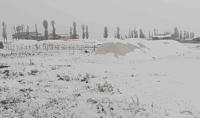 Özalp ilçesi kara büründü