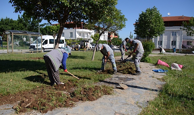 Pamukkale&#039;ye bahar geldi
