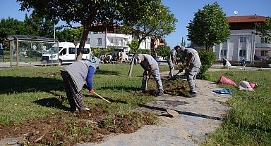 Pamukkale'ye bahar geldi
