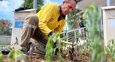 Parklarda yenileme ve bakım çalışmaları sürüyor