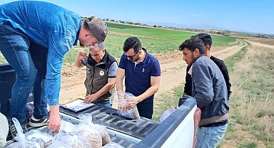 Patates ekim alanlarından sertifikasyona esas toprak numunesi aldı