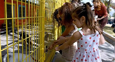 patililer, artık hafta sonları da ziyaret edilebilecek