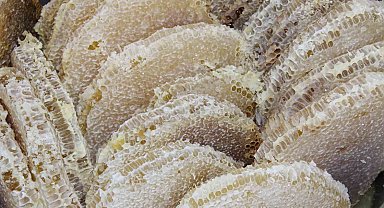 Pervari balı hastalıklara şifa oluyor