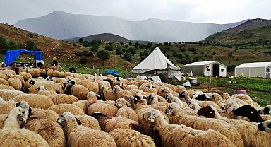 Peynir üreticileri dışarıdan getirilen peynirlerden muzdarip