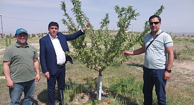 Rektör Alma, Şehit Bülent Yurtseven Kampüsü’nde bulunan badem bahçesinde incelemelerde bulundu