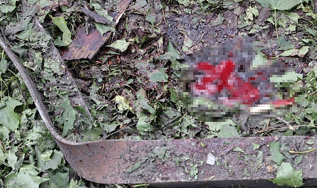 Rusya&#039;nın düzenlediği hava saldırısında, 5 kişi öldü 16 kişi yaralandı