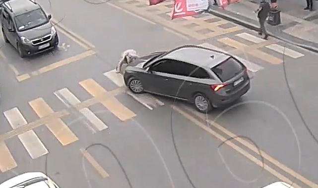 Sağ tarafını kontrol eden küçük bir kız çocuğuna otomobil çarptı