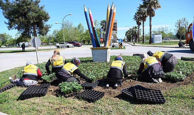 Samsun kadife çiçekleriyle renklendirildi