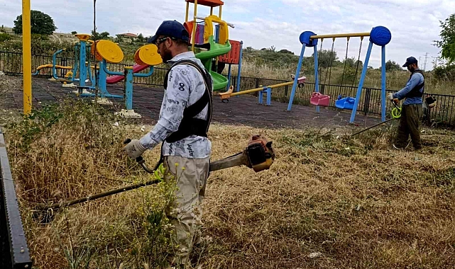 Şehzadeler Belediyesinde ilaçlandırma seferberliği sürüyor