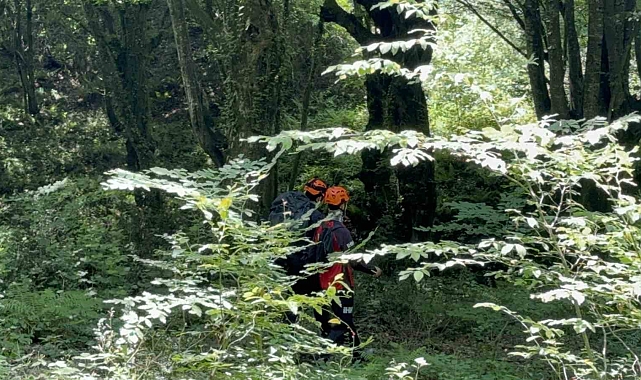 Senaryo gereği kampçılara ayı saldırdı.
