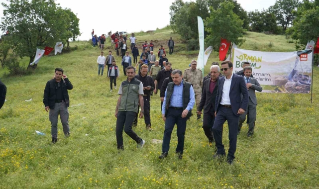 Şırnak&#039;ta &#039;Orman Benim&#039; etkinliği düzenlendi