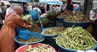 Sofraların vazgeçilmezi otlu peynire tat veren bitkiler, yoğun ilgi görüyor