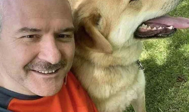 Sokak hayvanlarının uyutulması kararına, Süleyman soylu karşı çıktı