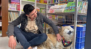 Sokaktan geçen insanlar Diren'i soruyor