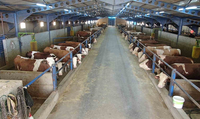 Süt Üreticileri, bin 200 ailenin ekmek kapısı oldu