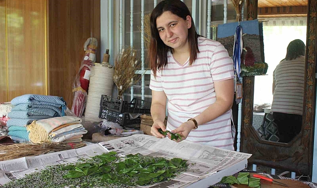 Unutulmaya yüz tutmuş ipek böcekciliğini canlandırma faaliyeti