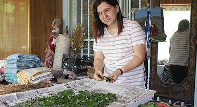 Unutulmaya yüz tutmuş ipek böcekciliğini canlandırma faaliyeti