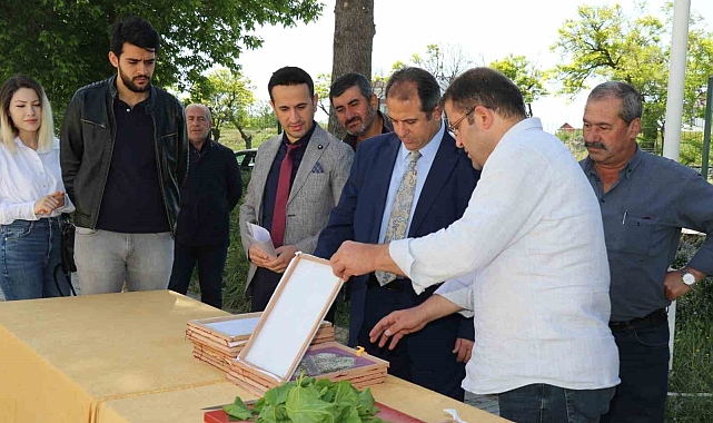 Üreticilere ipek böceği larvası dağıtıldı