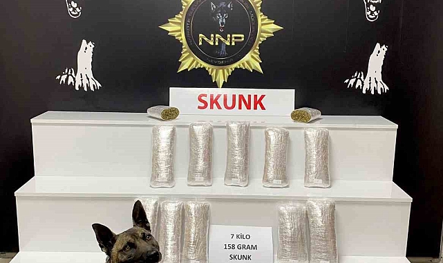 Uyuşturucu getiren  Azerbaycan uyruklu kadın, Polis köpeği Ateş&#039;ten kaçamadı