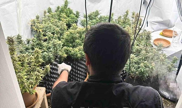 Uyuşturucu imalatı yapılan evde esrar ve kenevir ele geçirildi