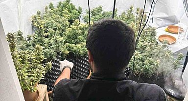 Uyuşturucu imalatı yapılan evde esrar ve kenevir ele geçirildi
