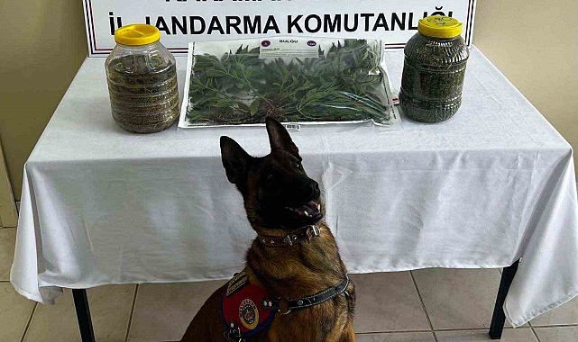 Uyuşturucu operasyonu: 1 tutuklama